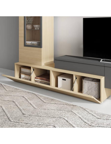 Modulo de TV con puerta DANIELA