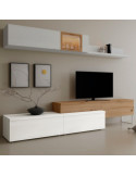 Modulo de TV con puerta DANIELA