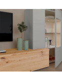 Modulo de TV con puerta DANIELA
