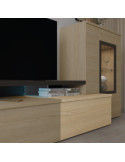 Modulo de TV con puerta DANIELA