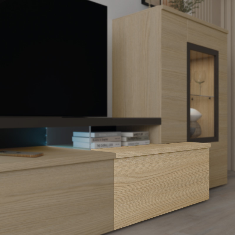 Modulo de TV con puerta DANIELA