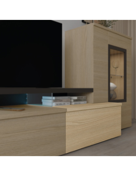 Modulo de TV con puerta DANIELA