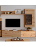 Modulo de TV con puerta DANIELA