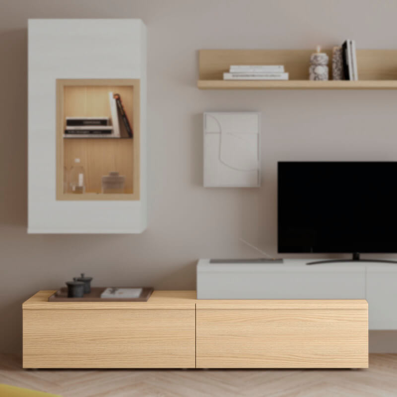 Modulo de TV con puerta DANIELA
