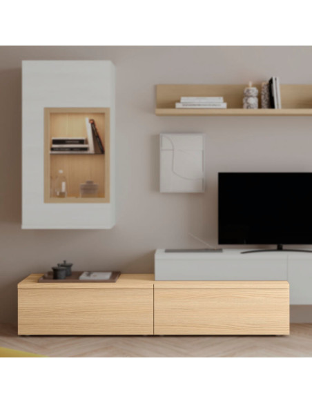 Modulo de TV con puerta DANIELA