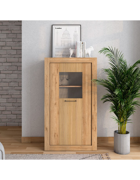 Vitrina una puerta DALIA II