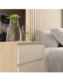 Mesita de noche dos cajones NILO II