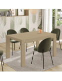 Mesa comedor rectangular extensible portería deslizante DANIELA