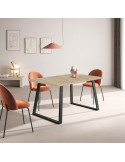 Mesa rectangular fija SANA