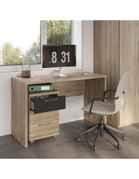 Mesa de estudio LENA