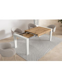 Mesa rectangular extensible portería MARCO