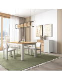 Mesa comedor rectangular extensible DANIELA I