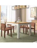 Mesa comedor rectangular extensible DANIELA I