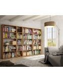 Biblioteca completa ROMA