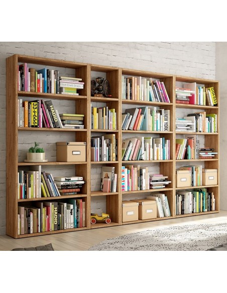 Biblioteca completa ROMA