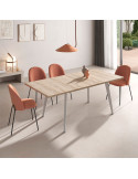 Mesa rectangular extensible INNA