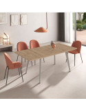 Mesa rectangular extensible INNA