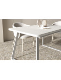 Mesa rectangular extensible SANA I