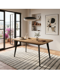 Mesa rectangular extensible INNA I