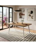 Mesa rectangular extensible INNA I