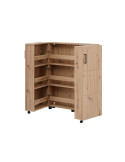 Zapatero dos puertas TEYA