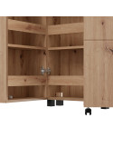 Zapatero dos puertas TEYA