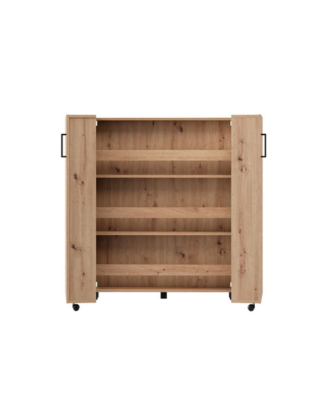 Zapatero dos puertas TEYA