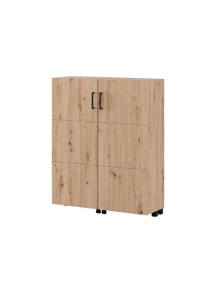 Zapatero dos puertas TEYA