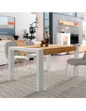 Mesa comedor rectangular extensible portería deslizante DANIELA