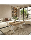 Mesa de centro elevable ROX