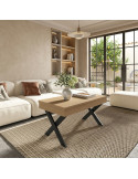 Mesa de centro elevable ROX