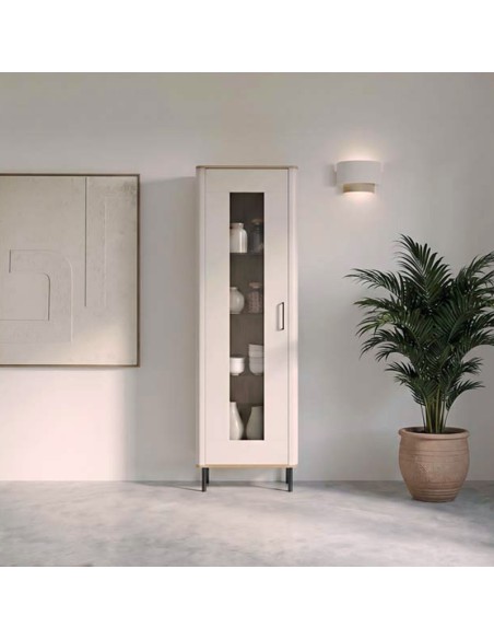 Vitrina una puerta LYS I