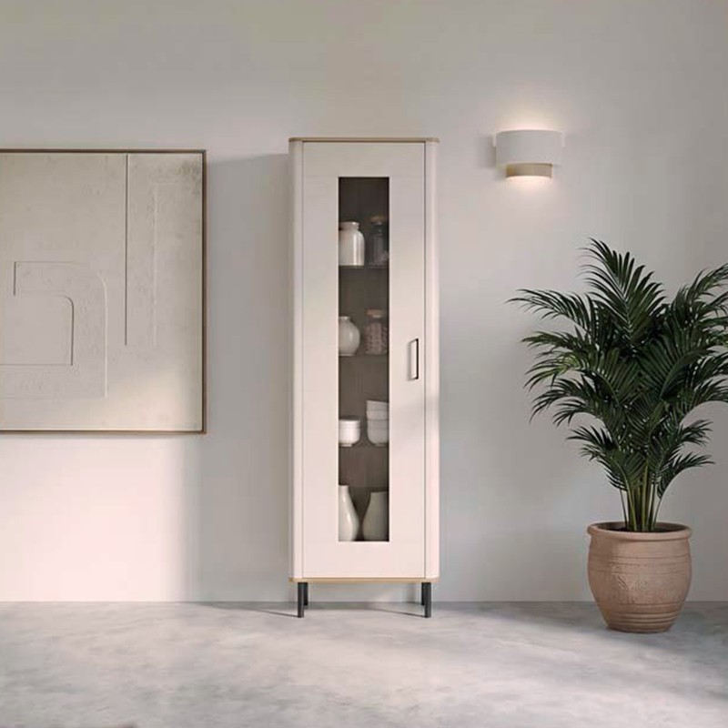 Vitrina una puerta LYS I
