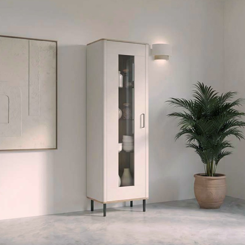Vitrina una puerta LYS I