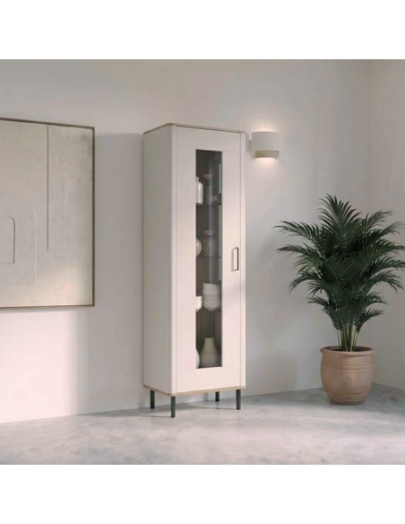Vitrina una puerta LYS I
