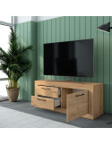 Mueble TV dos cajones y una puerta DALIA