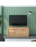Mueble TV dos cajones y una puerta DALIA