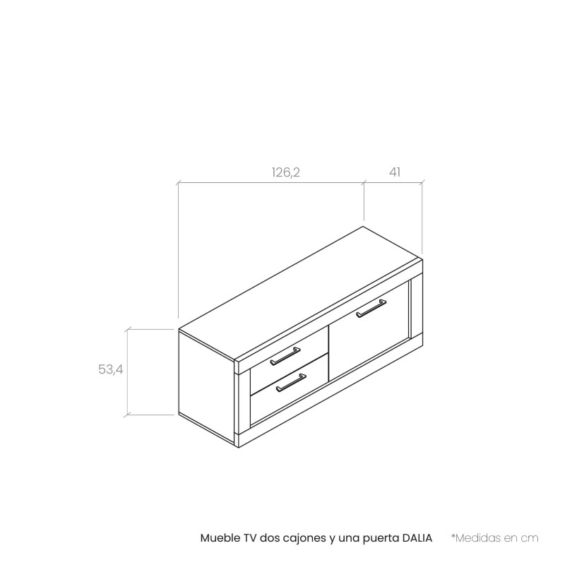 Mueble TV dos cajones y una puerta DALIA