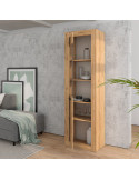 Vitrina una puerta DALIA III