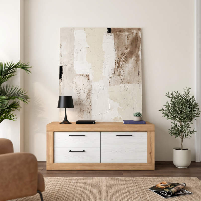 Mueble TV dos cajones y una puerta DALIA