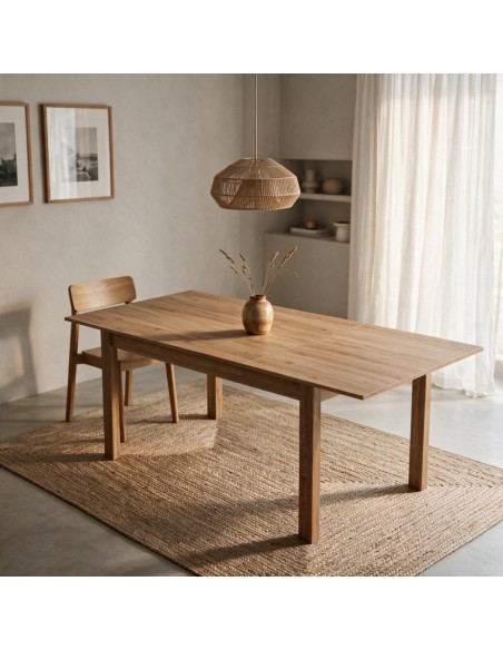 Mesa rectangular extensible DALIA I
