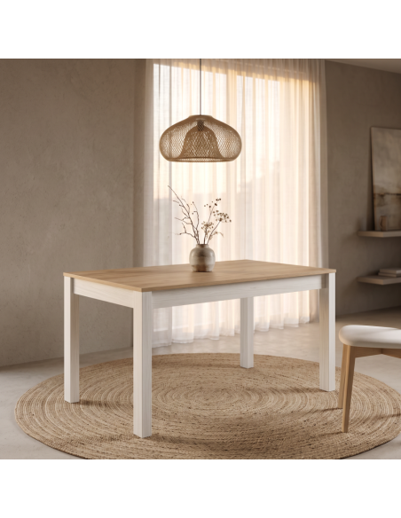 Mesa rectangular extensible DALIA I