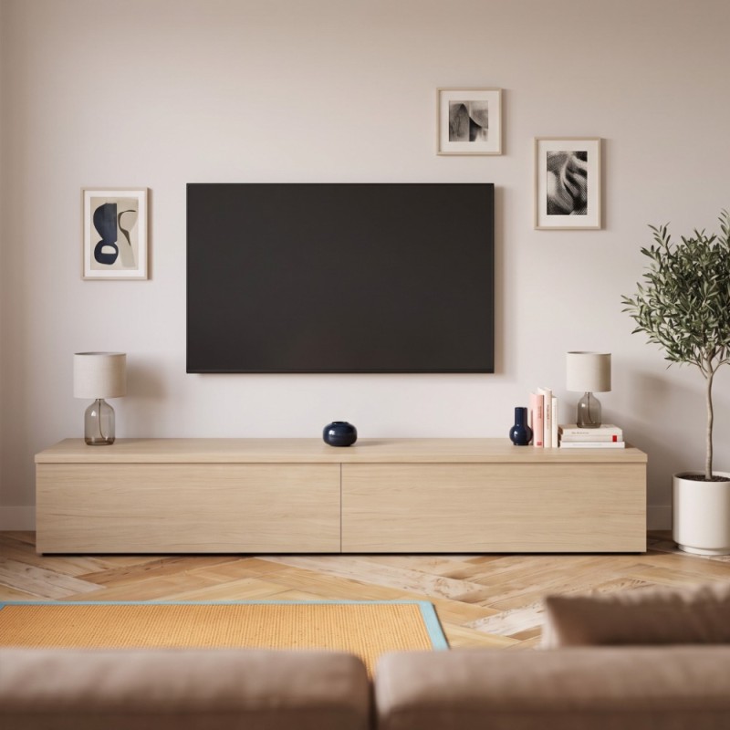 Modulo de tv una puerta abatible y cajón DANIELA 2