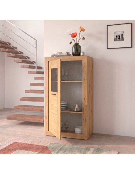Vitrina una puerta DALIA II