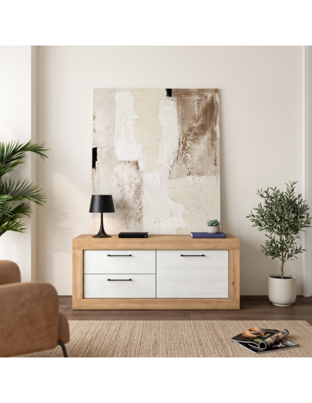 Mueble TV dos cajones y una puerta DALIA