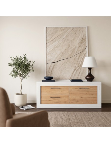 Mueble TV dos cajones y una puerta DALIA