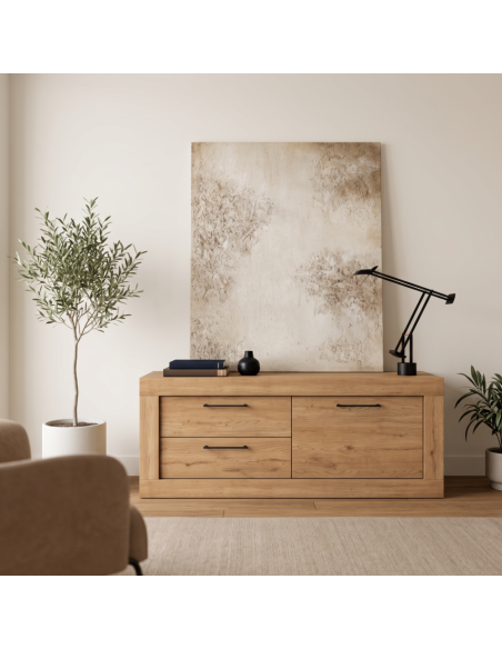 Mueble TV dos cajones y una puerta DALIA