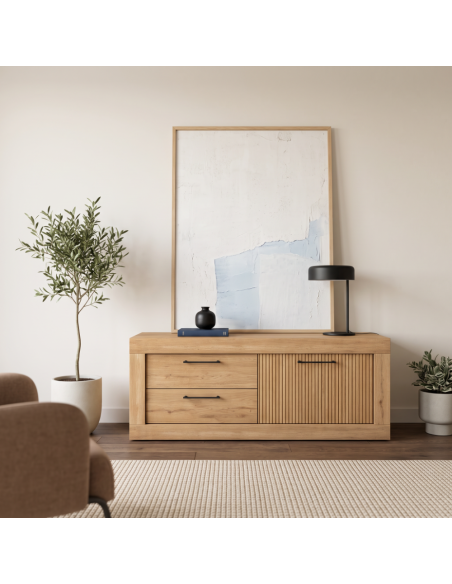 Mueble TV dos cajones y una puerta DALIA