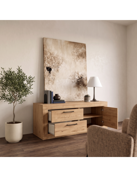 Mueble TV dos cajones y una puerta DALIA