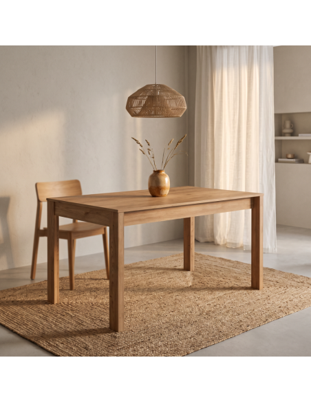 Mesa rectangular extensible DALIA I